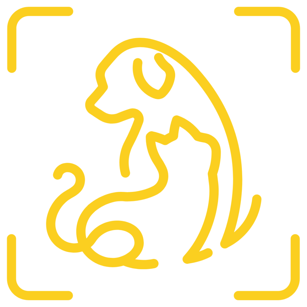 Petscast