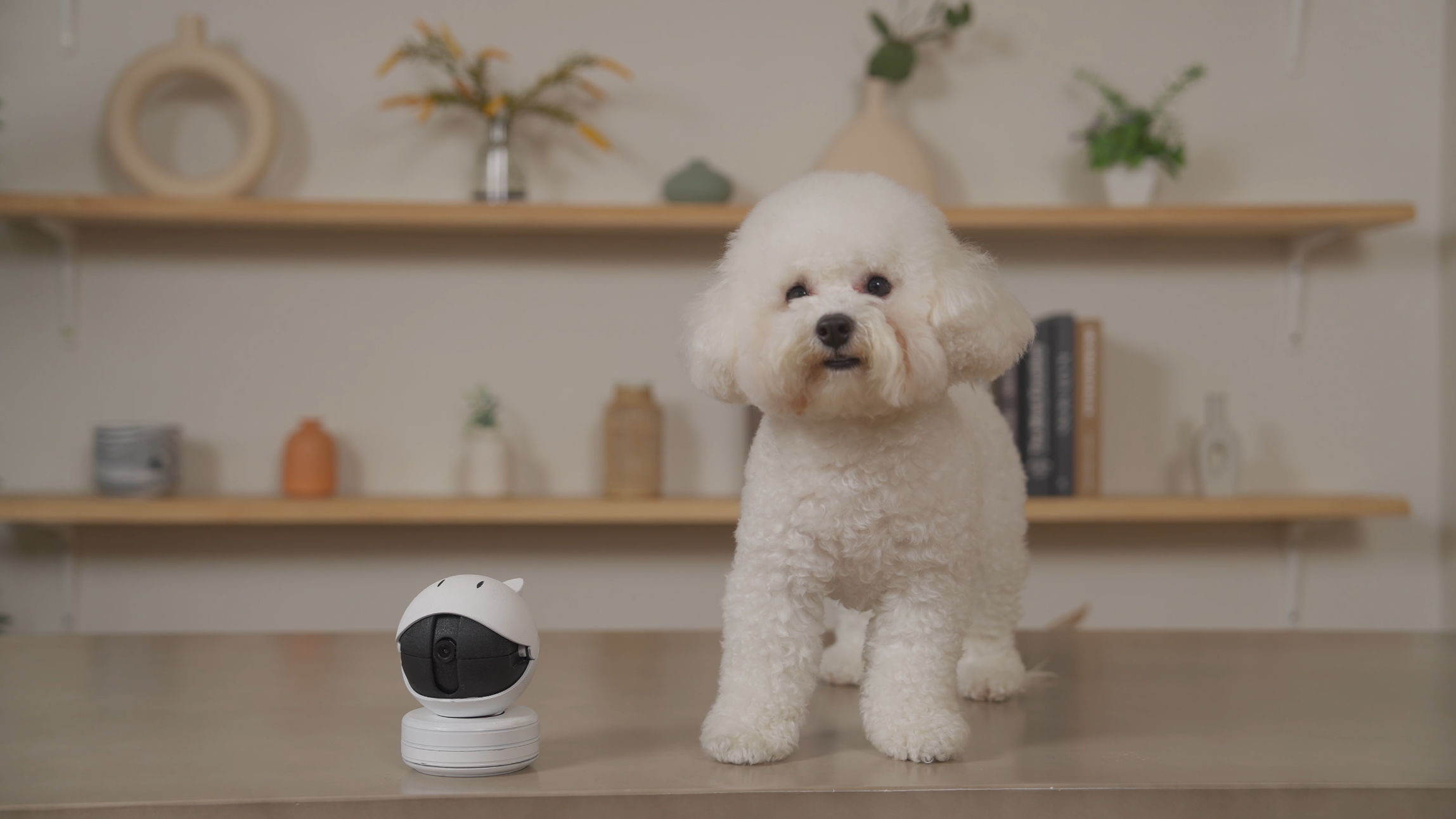 毛孩與 Petscast P201 智能寵物行為分析鏡頭